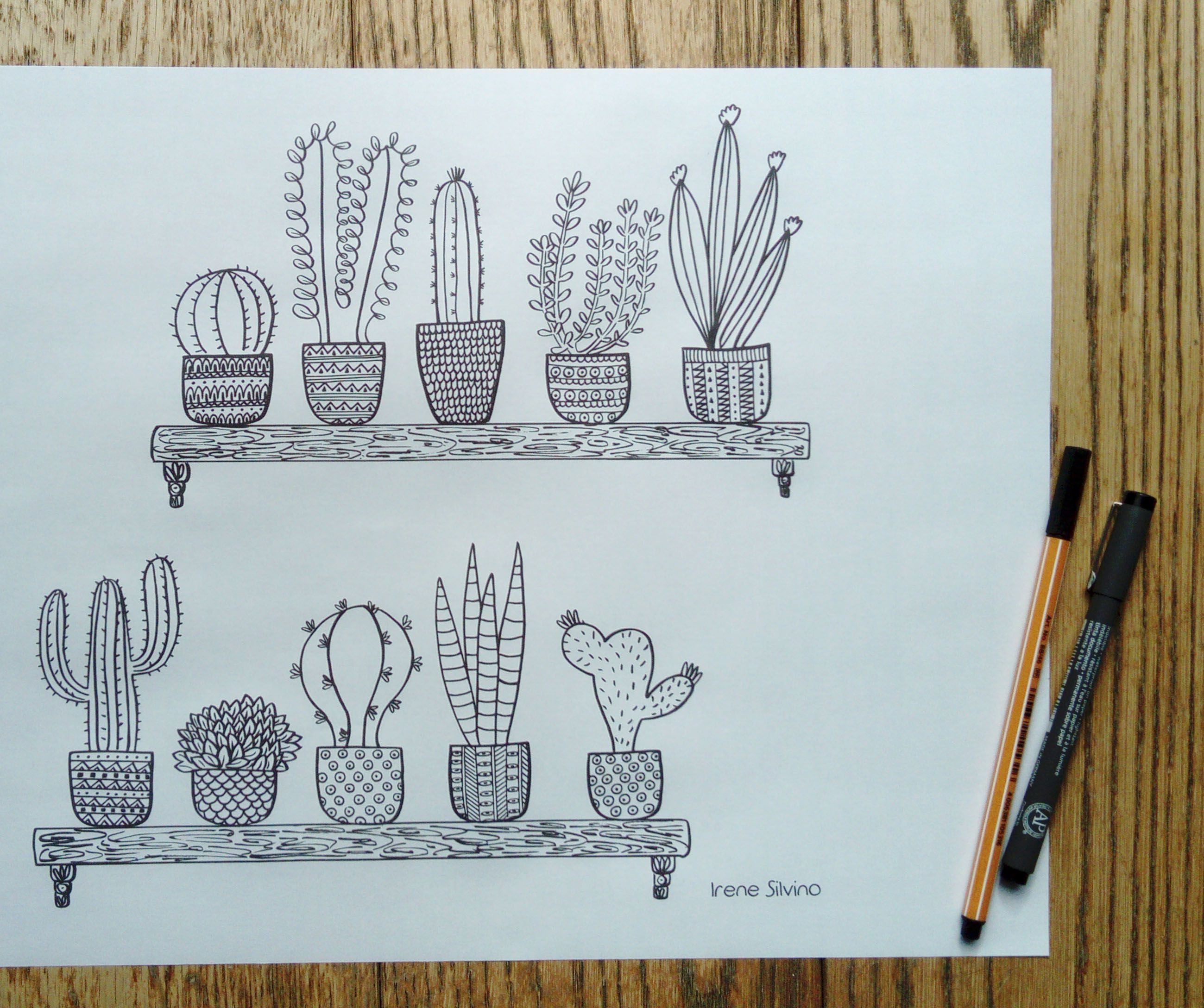 Prickly cacti and succulents