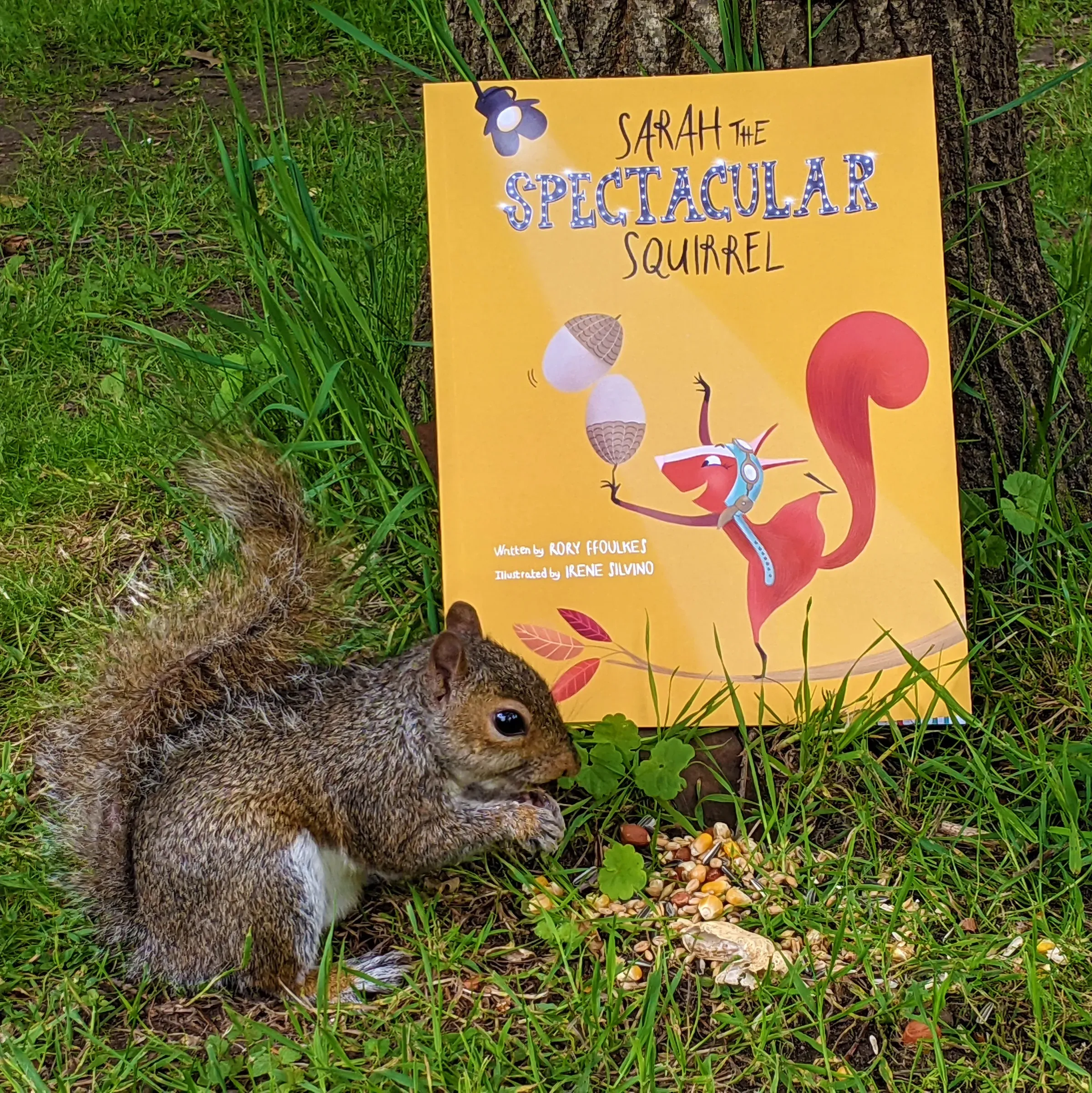 Sarah the Spectacular Squirrel